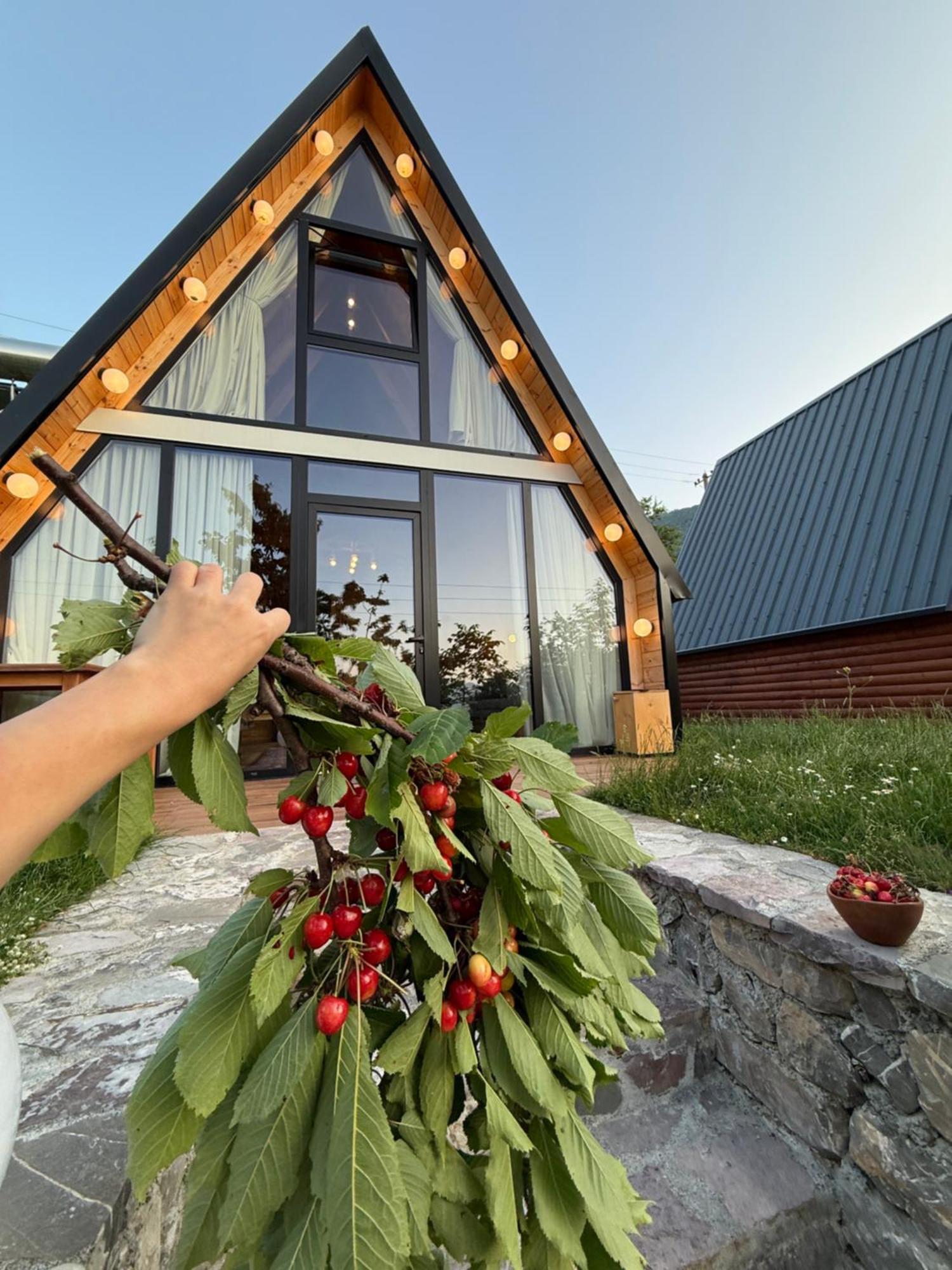 Agroturizem Rrahmani Villa *